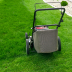 lawn mowing maintenance