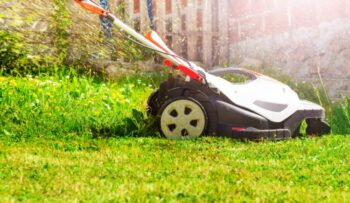 get rid of crabgrass, mow higher