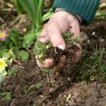 pulling-weeds-by-hand