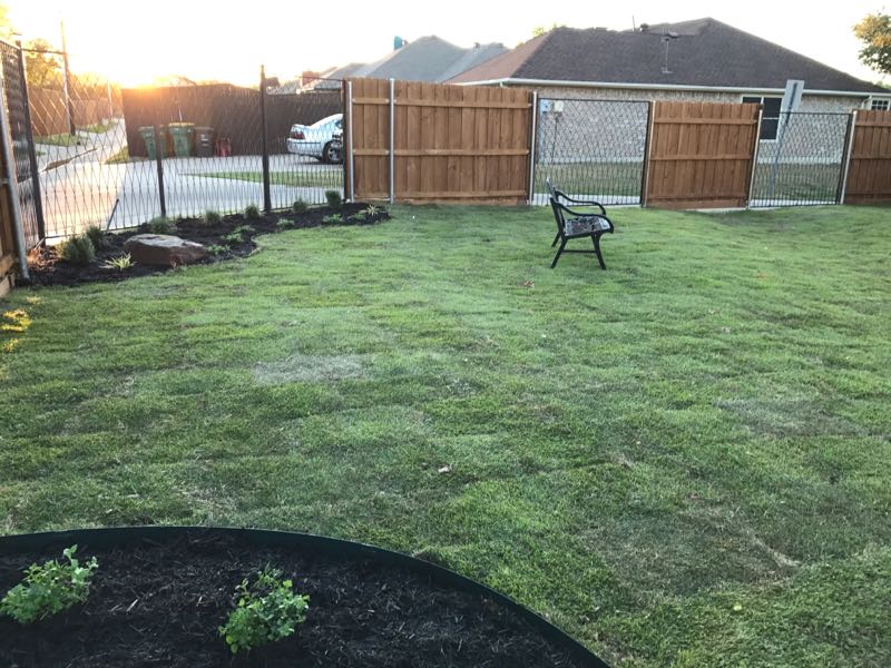 premium sod installation