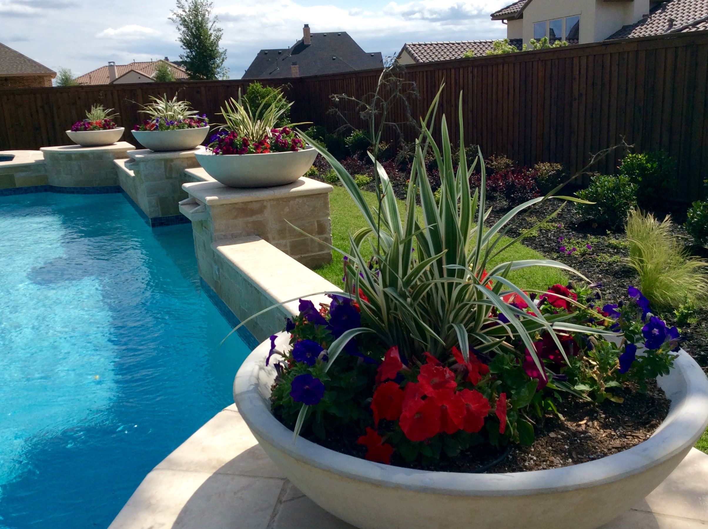 Plant pool. Pool Plants. Pool area.