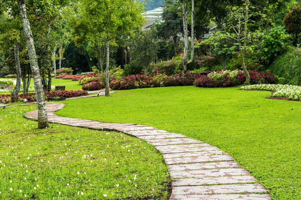 landscaping yard