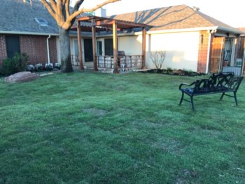 palisade zoysia sod with landscaping