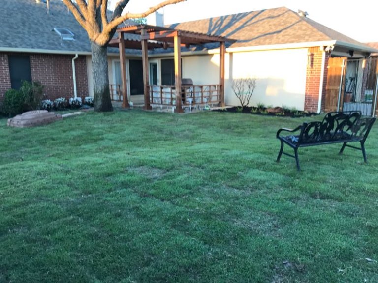 Premium Sod Installation | Ryno Lawn Care, LLC