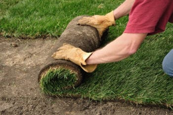 sod installation Lantana TX