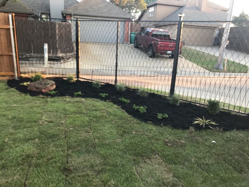 zoysia sod install landscaping