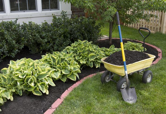 Clean Up Flowerbeds