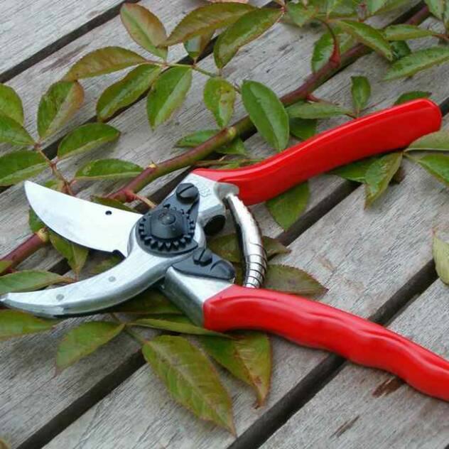 pruning shear Ryno Lawn Care, LLC