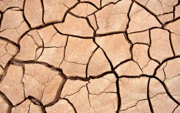 amend clay soil