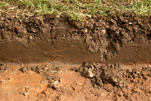 improve clay soil for lawns