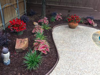 flower bed landscaping with plastic edging