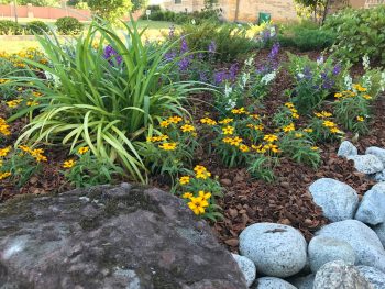 flower beds with big stones