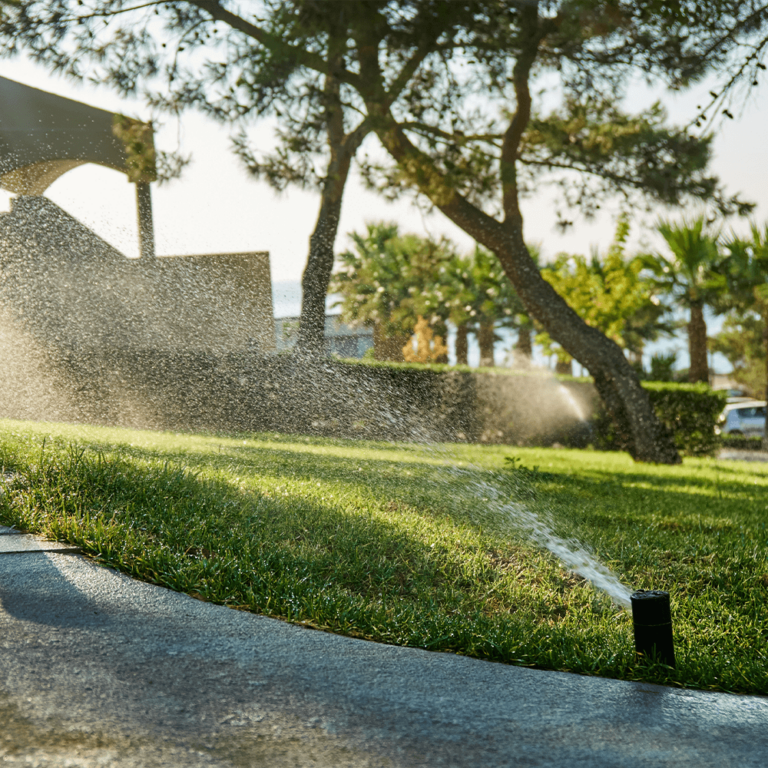 watering lawn