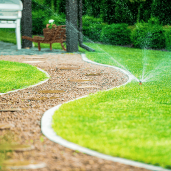 watering yard in winter