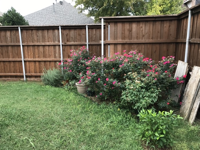 Landscaping Design App before 5d1