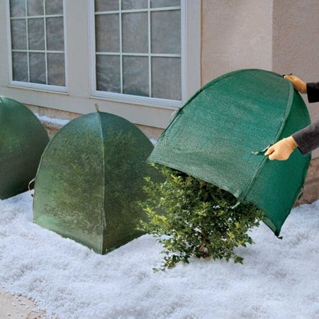 Winter protection cover for plants jute