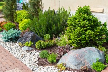 landscaping service frisco tx rocks flower bed