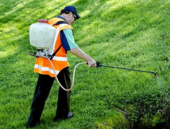 herbicide weed control prosper, tx