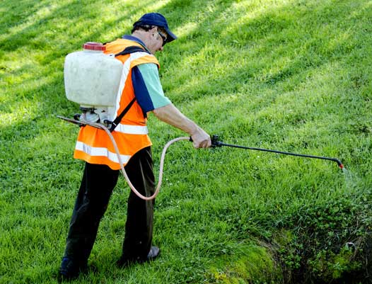 herbicide weed control prosper, tx