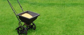 lawn fertilization service