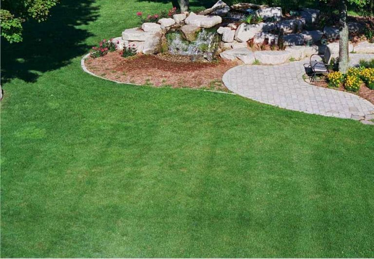 flower mound lawn care mowing services