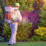 fungicide treatments