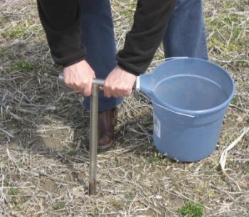 soil sample