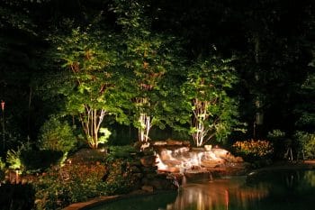 Landscape lighting placement