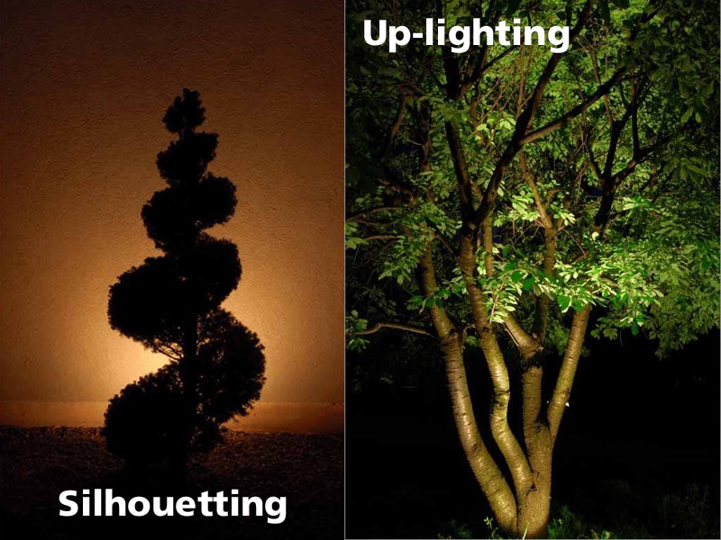 Where To Place Landscape Lighting, How To Position Landscape Lighting