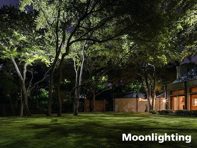 moonlighting landscape lights
