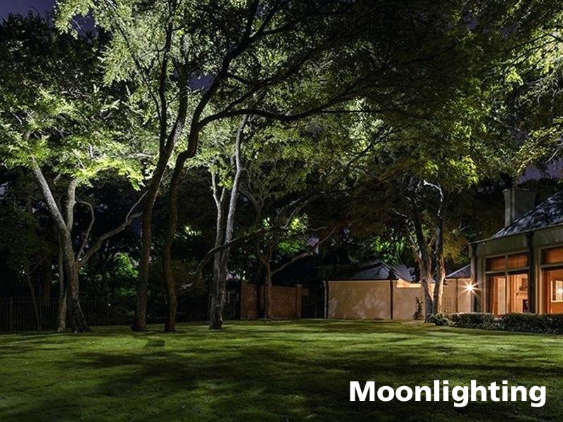 Moonlighting landscape shop