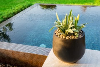 poolside landscaping