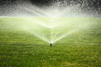 How to Keep Your Lawn Healthy and Hydrated in the Summertime