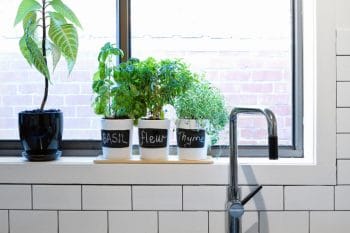 indoor kitchen herb garden