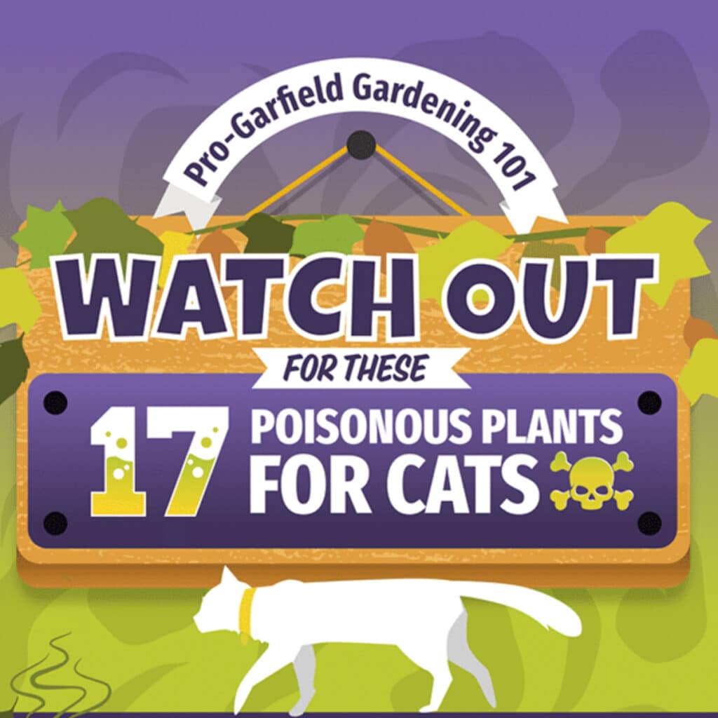 toxic plants for cats