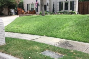 green lawn weed control fertilization