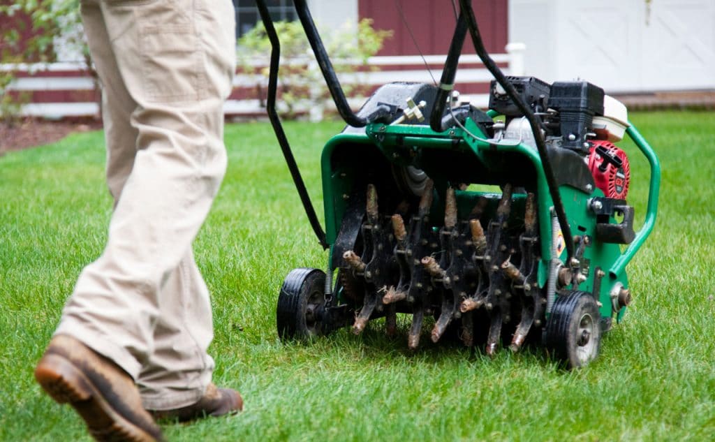 lawn aeration in fall