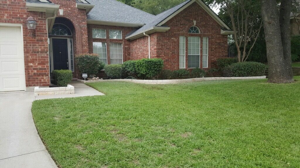 caring for bermuda grass