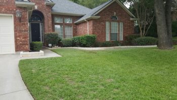 lawn fertilization weed control