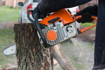 use a chainsaw to remove a tree