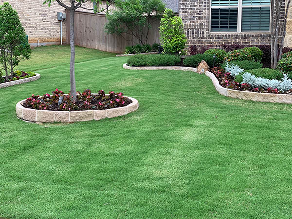 green grass weed control lawn fertilization service