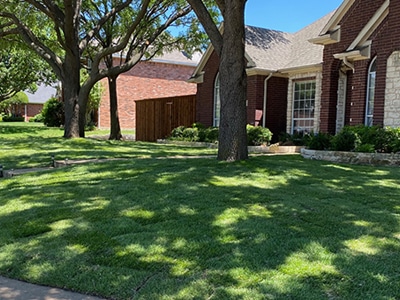 sod installation