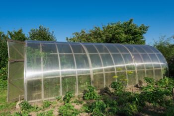 tips for buying a greenhouse kit