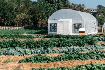 things to consider when buying a greenhouse