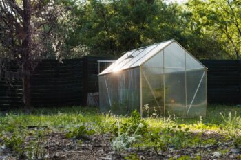 things to know when buying a greenhouse