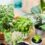 How to Keep Outdoor Potted Plants Alive in Winter
