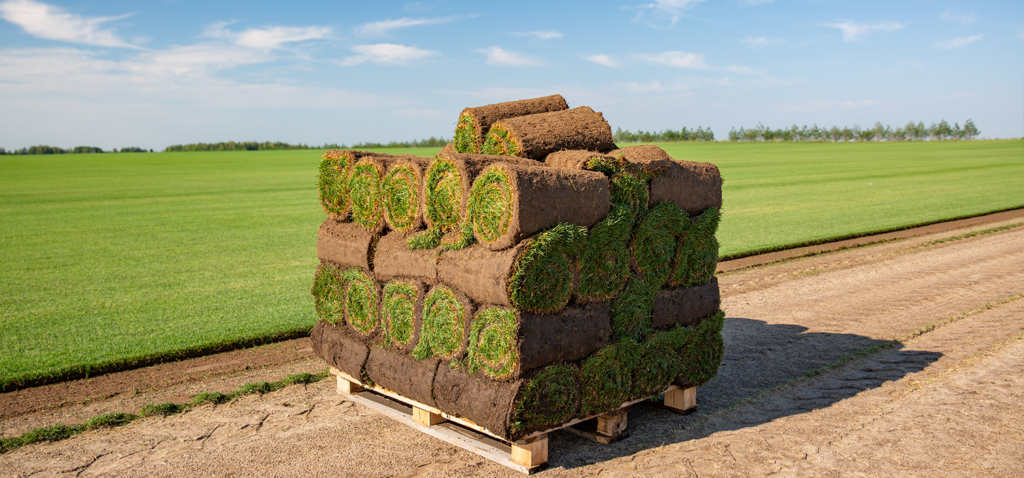 sod installation pallet in Southlake