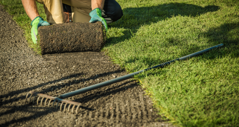 installing sod in lantana texas yard