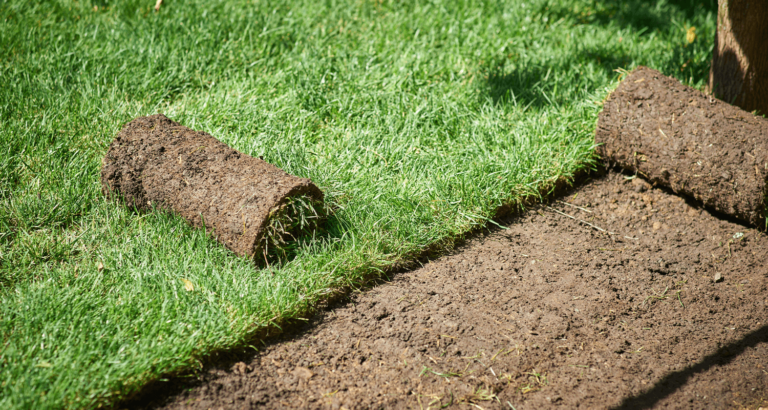 valleyview sod installation