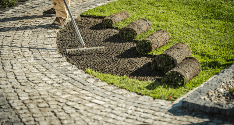 sod installation corinth texas